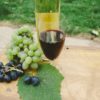 ガンや動脈硬化など防止は白ワインより赤ワインがいい訳について